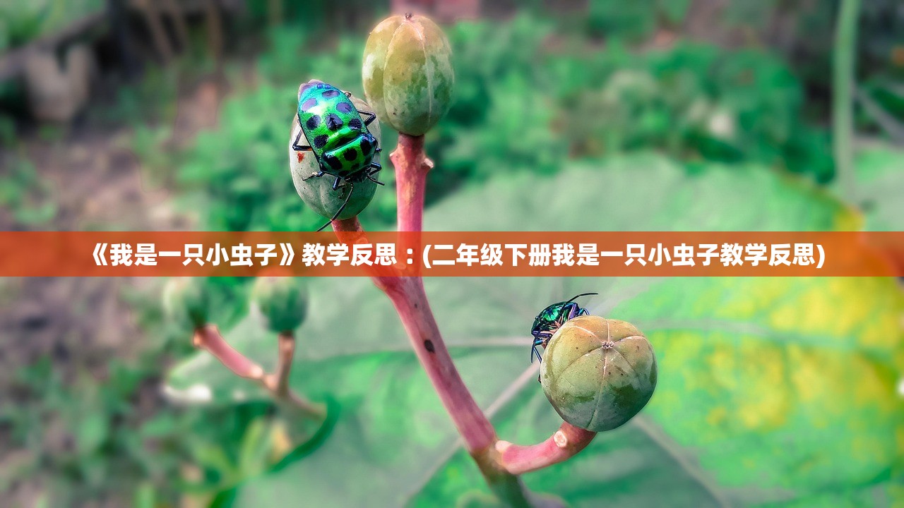 《我是一只小虫子》教学反思︰(二年级下册我是一只小虫子教学反思)