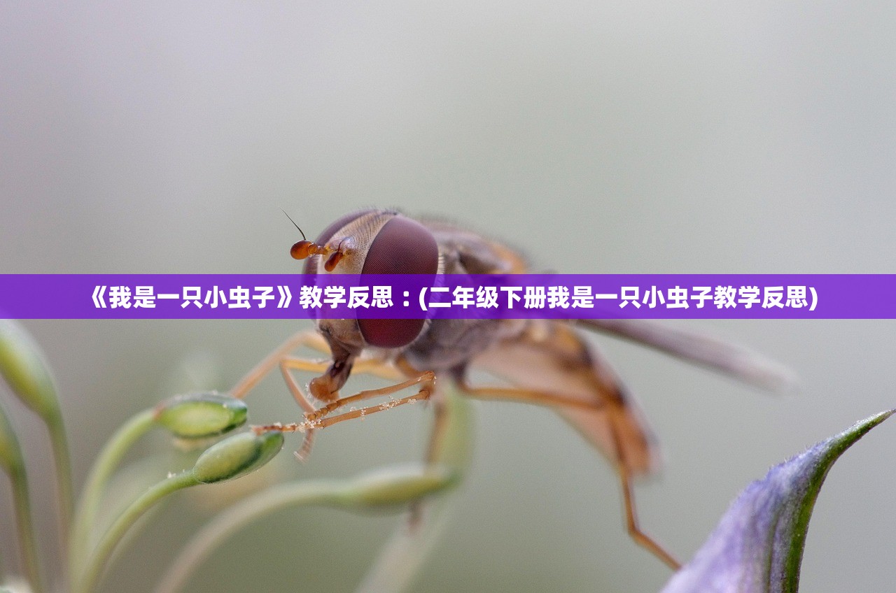 《我是一只小虫子》教学反思︰(二年级下册我是一只小虫子教学反思)