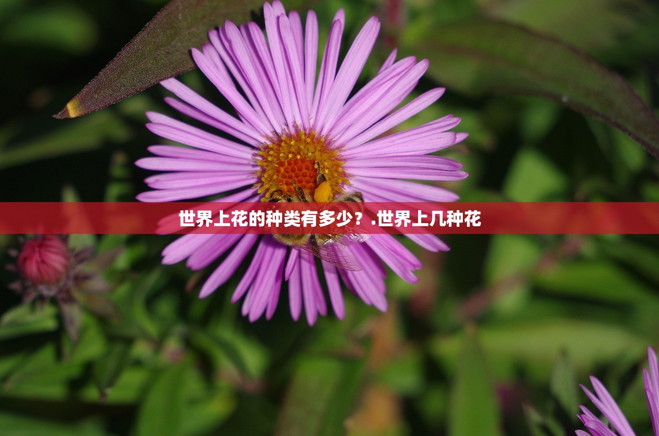 世界上花的种类有多少？.世界上几种花