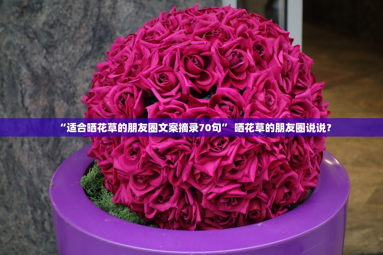 “适合晒花草的朋友圈文案摘录70句” 晒花草的朋友圈说说？
