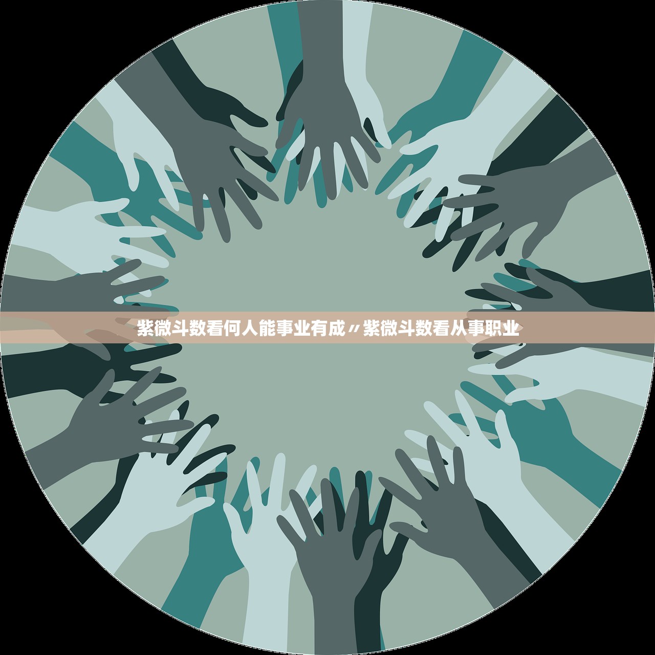 紫微斗数看何人能事业有成〃紫微斗数看从事职业