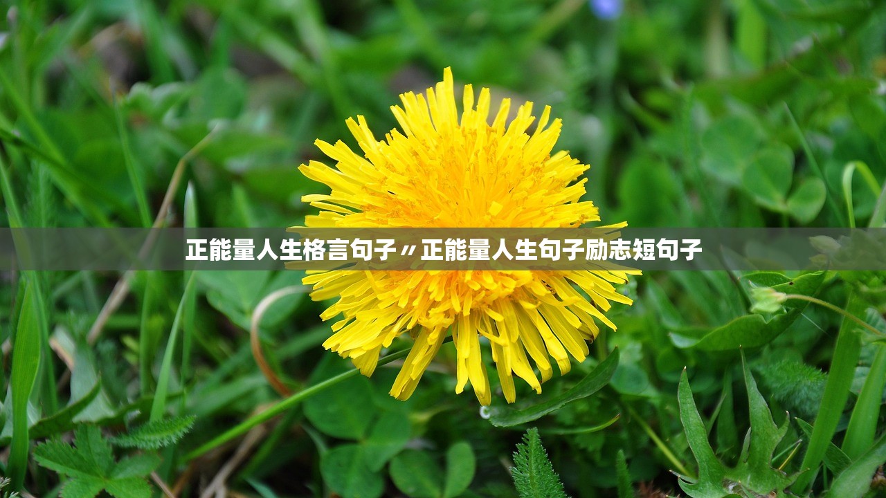 正能量人生格言句子〃正能量人生句子励志短句子