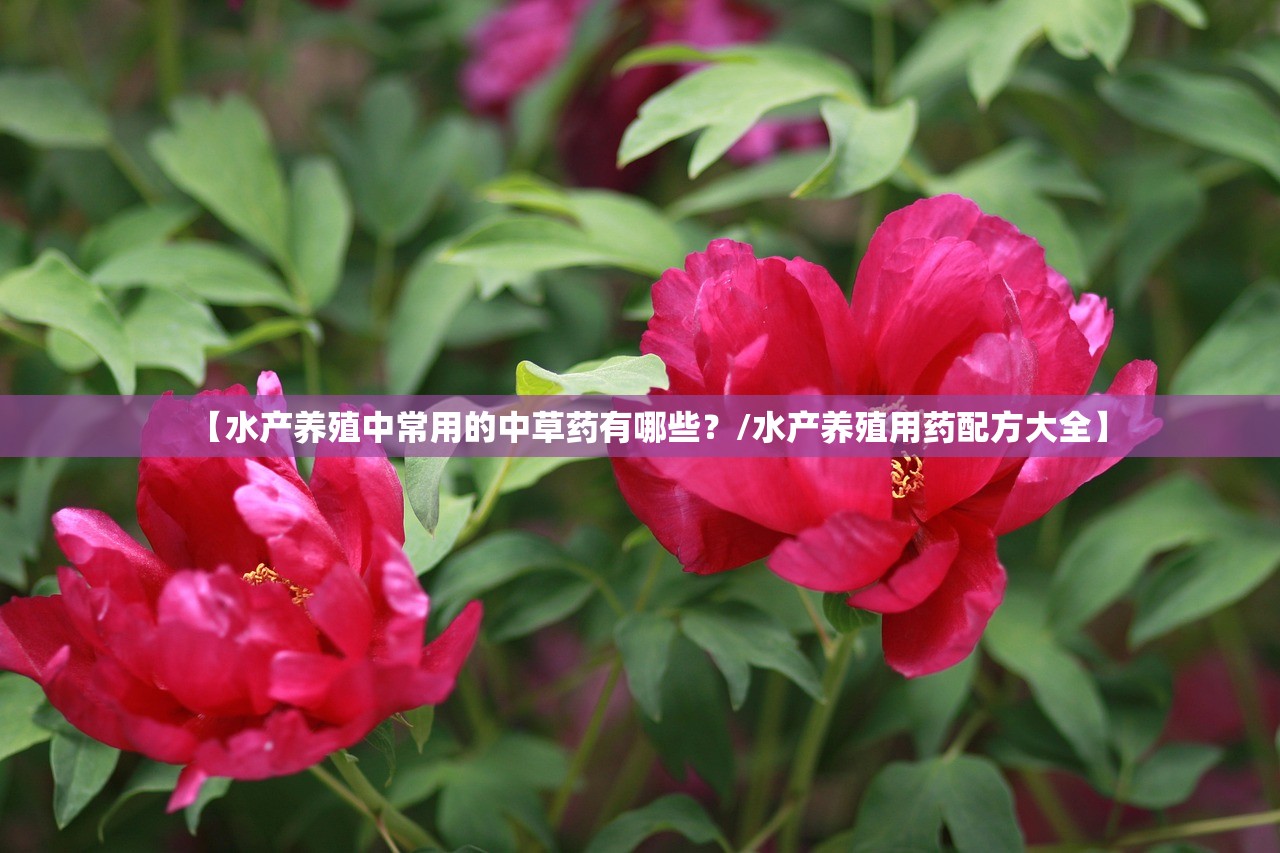 【水产养殖中常用的中草药有哪些？/水产养殖用药配方大全】