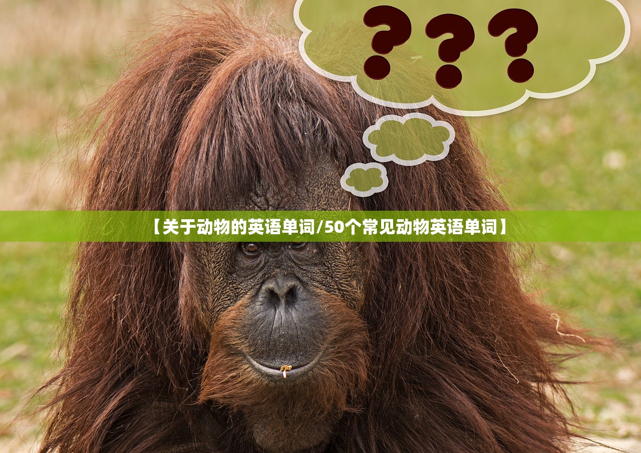 【关于动物的英语单词/50个常见动物英语单词】