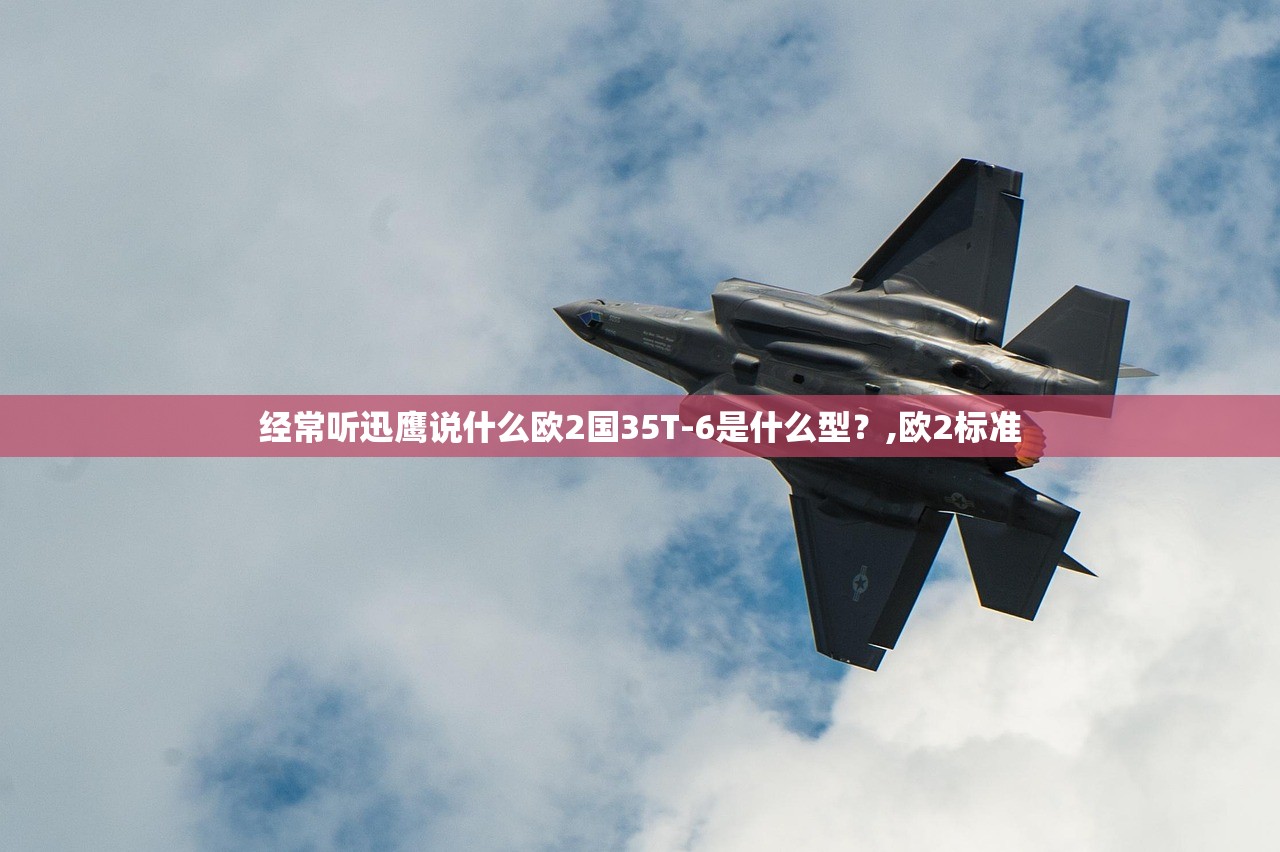 经常听迅鹰说什么欧2国35T-6是什么型？,欧2标准