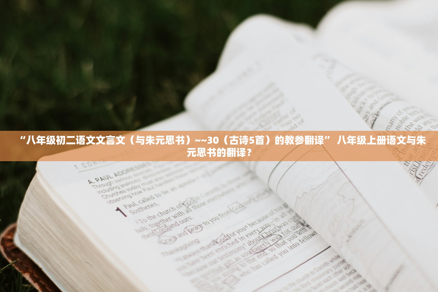 “八年级初二语文文言文（与朱元思书）~~30（古诗5首）的教参翻译” 八年级上册语文与朱元思书的翻译？