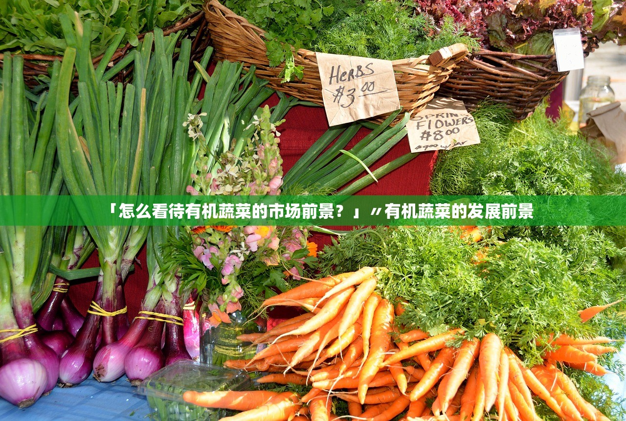 「怎么看待有机蔬菜的市场前景？」〃有机蔬菜的发展前景