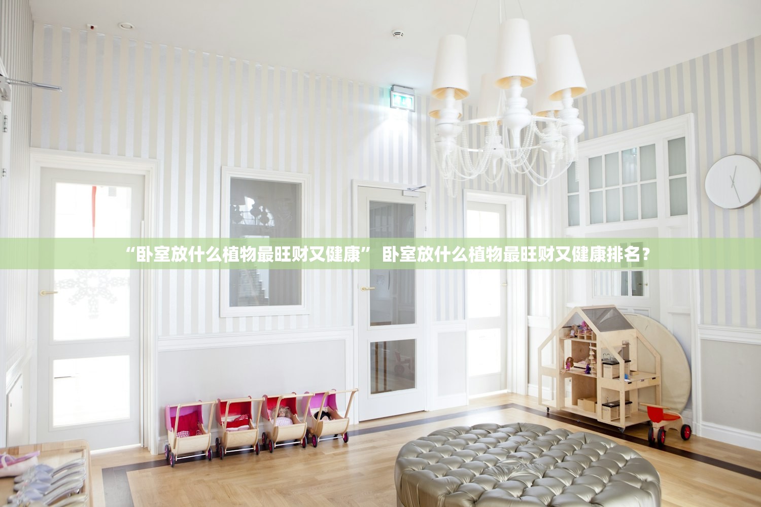 “卧室放什么植物最旺财又健康	” 卧室放什么植物最旺财又健康排名？