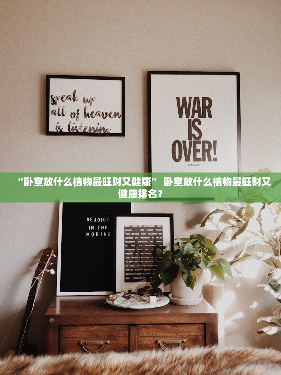 “卧室放什么植物最旺财又健康” 卧室放什么植物最旺财又健康排名？