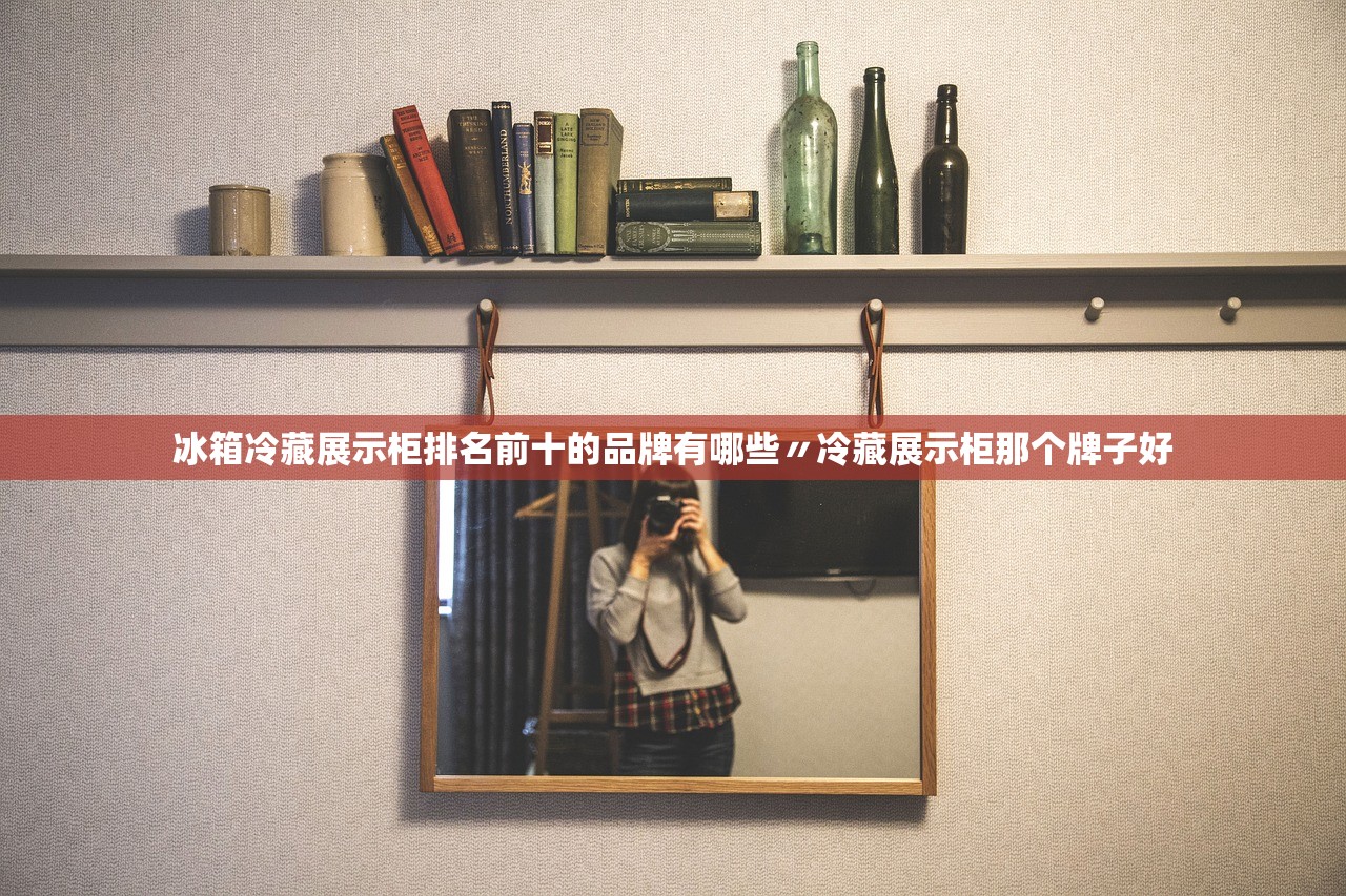 冰箱冷藏展示柜排名前十的品牌有哪些〃冷藏展示柜那个牌子好