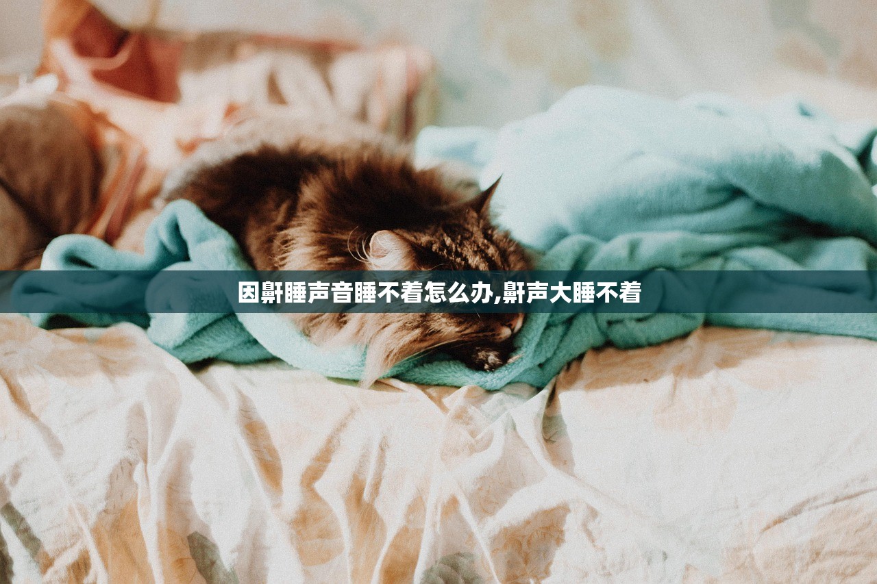 因鼾睡声音睡不着怎么办,鼾声大睡不着