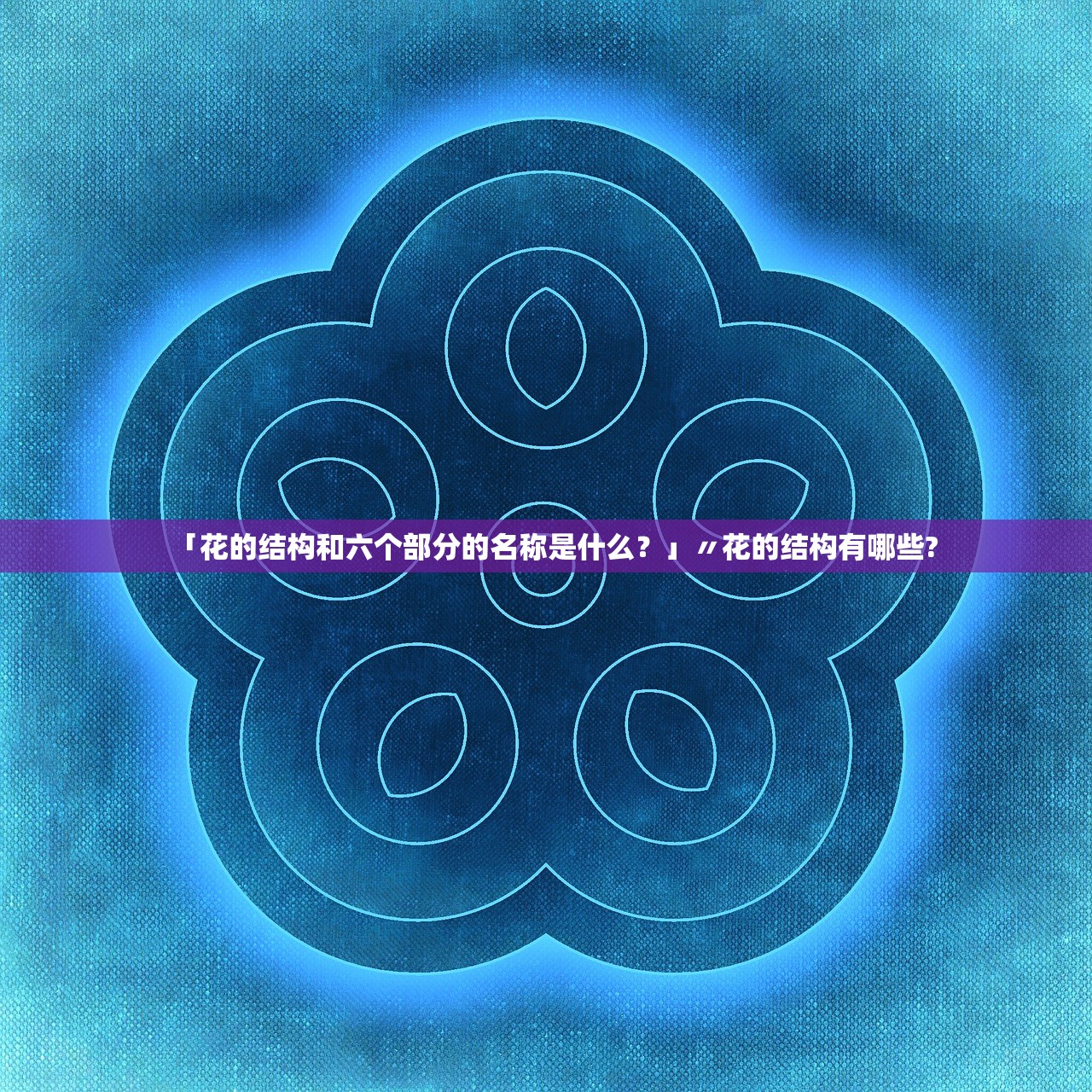 「花的结构和六个部分的名称是什么？」〃花的结构有哪些?