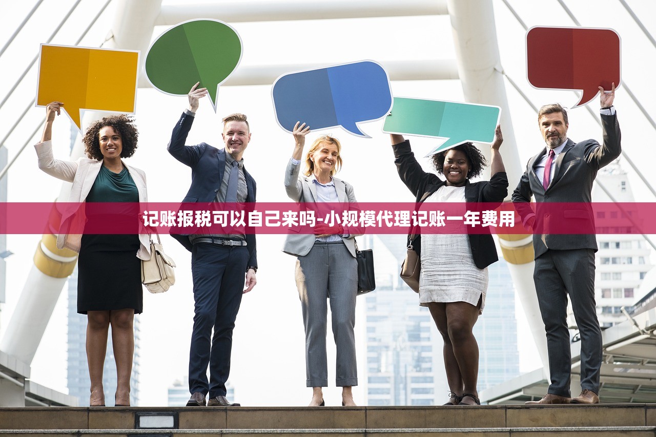 记账报税可以自己来吗-小规模代理记账一年费用
