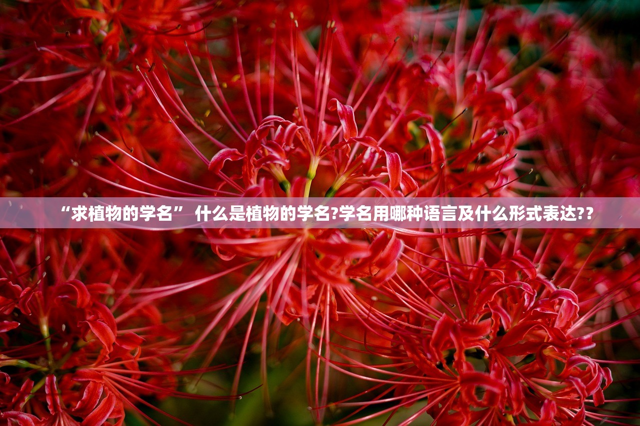 “求植物的学名” 什么是植物的学名?学名用哪种语言及什么形式表达?？