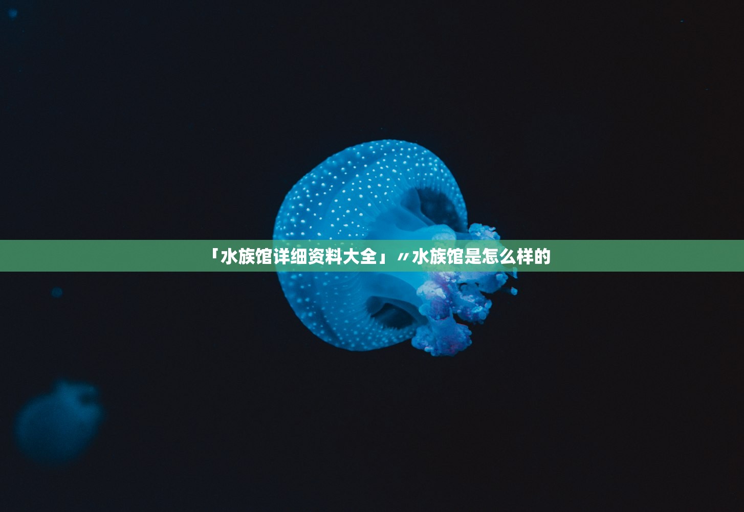 「水族馆详细资料大全」〃水族馆是怎么样的 「水族馆详细资料大全」〃水族馆是怎么样的