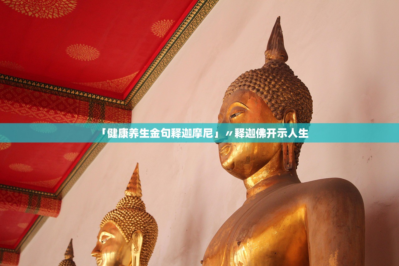 「健康养生金句释迦摩尼」〃释迦佛开示人生