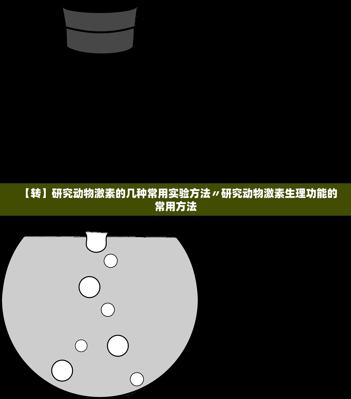 【转】研究动物激素的几种常用实验方法〃研究动物激素生理功能的常用方法 【转】研究动物激素的几种常用实验方法〃研究动物激素生理功能的常用方法