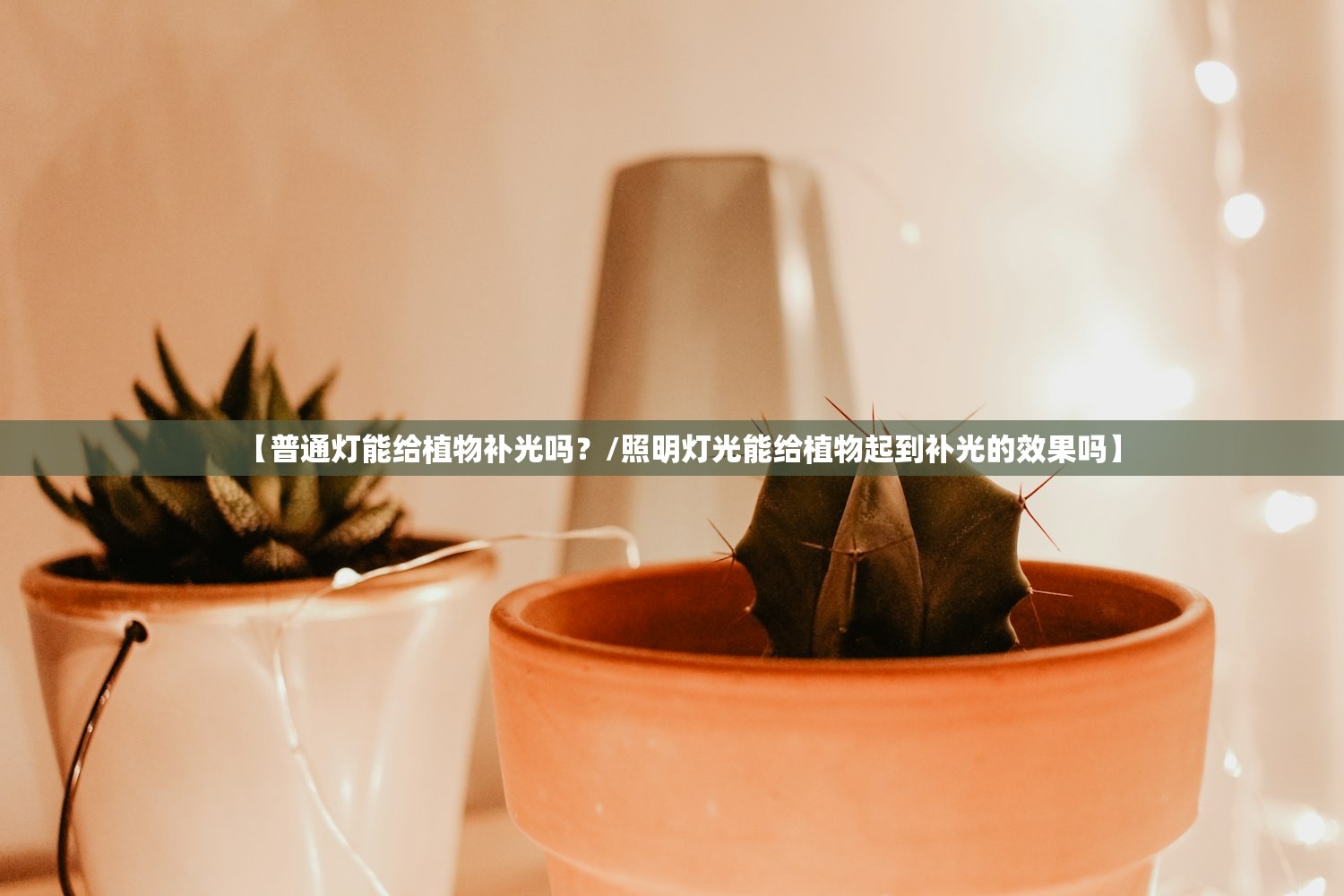 【普通灯能给植物补光吗?/照明灯光能给植物起到补光的效果吗】 【普通灯能给植物补光吗?/照明灯光能给植物起到补光的效果吗】