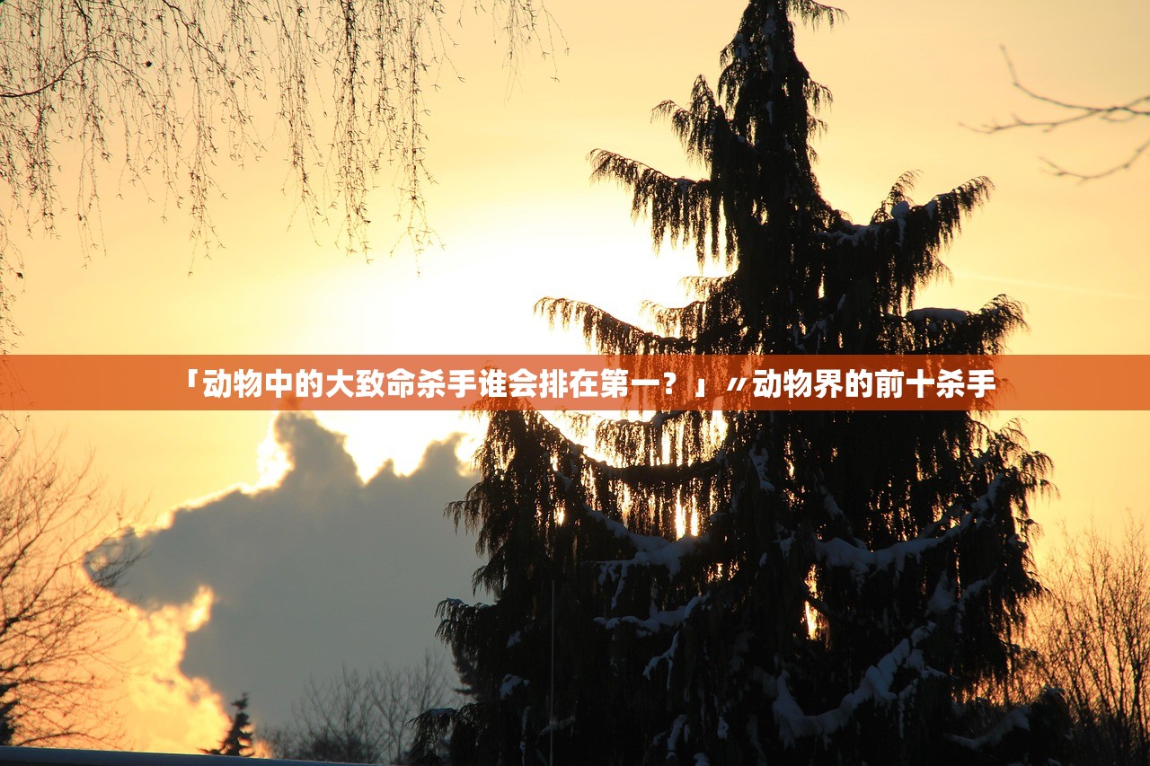 「动物中的大致命杀手谁会排在第一？」〃动物界的前十杀手