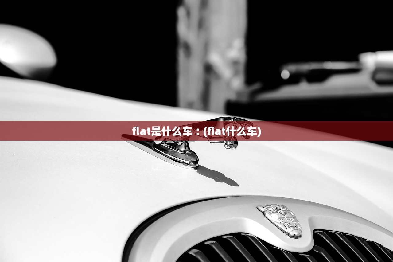 flat是什么车︰(fiat什么车) flat是什么车︰(fiat什么车)