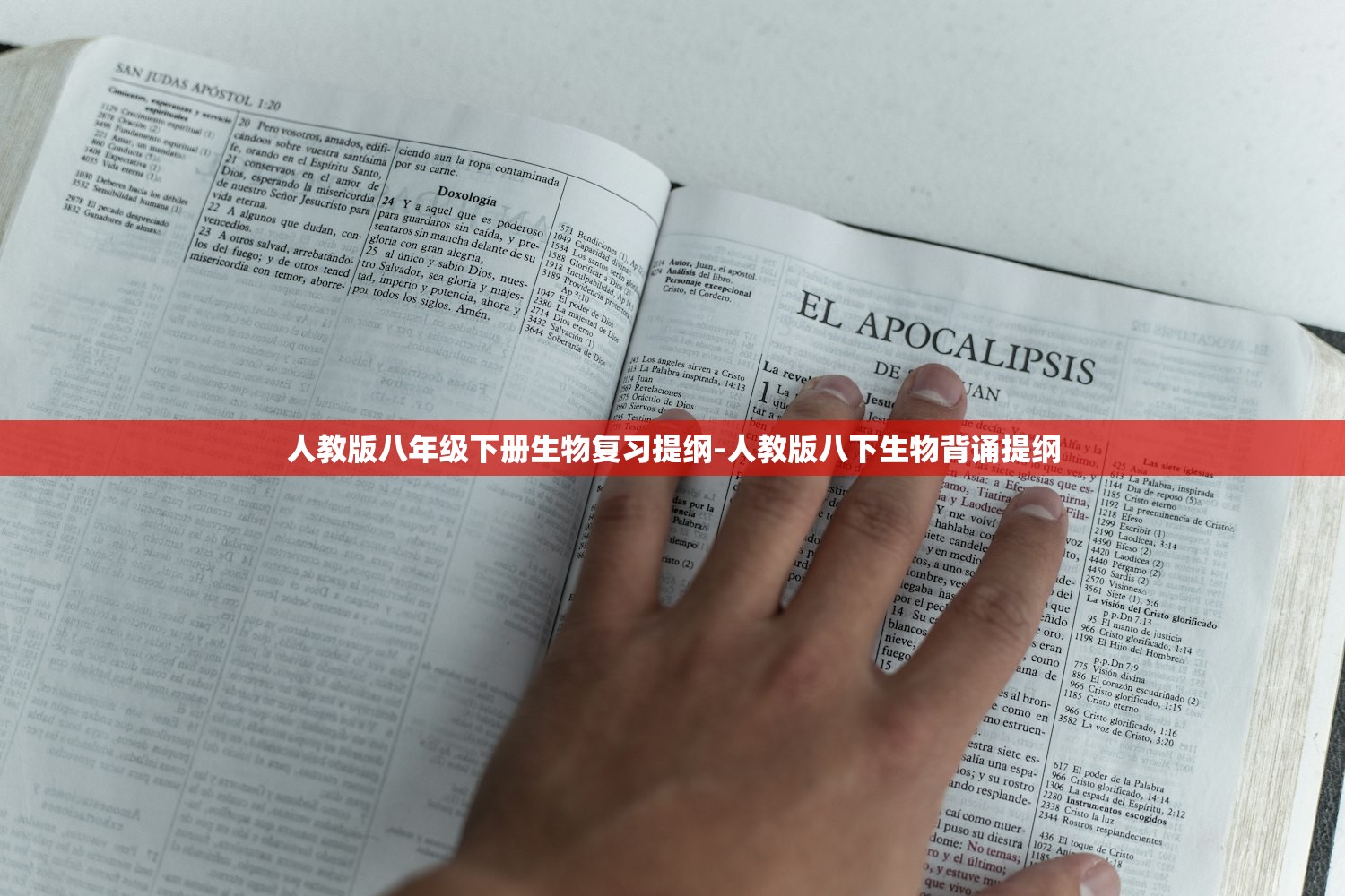 人教版八年级下册生物复习提纲-人教版八下生物背诵提纲