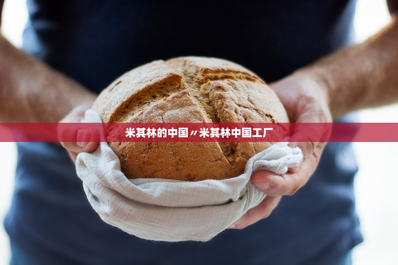 米其林的中国〃米其林中国工厂
