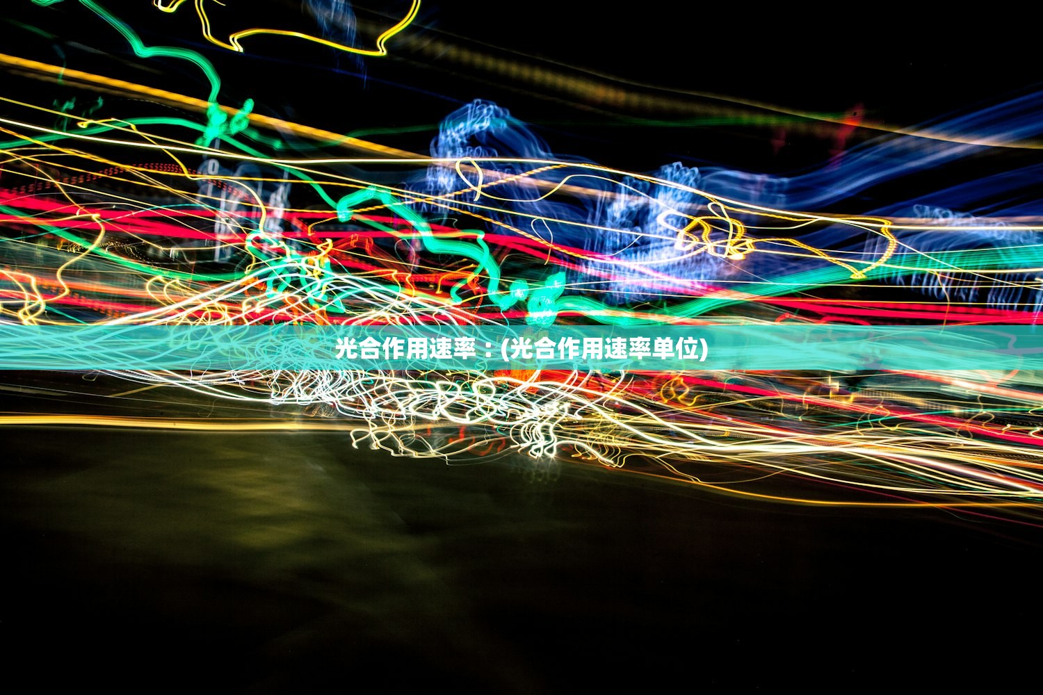 光合作用速率︰(光合作用速率单位) 光合作用速率︰(光合作用速率单位)
