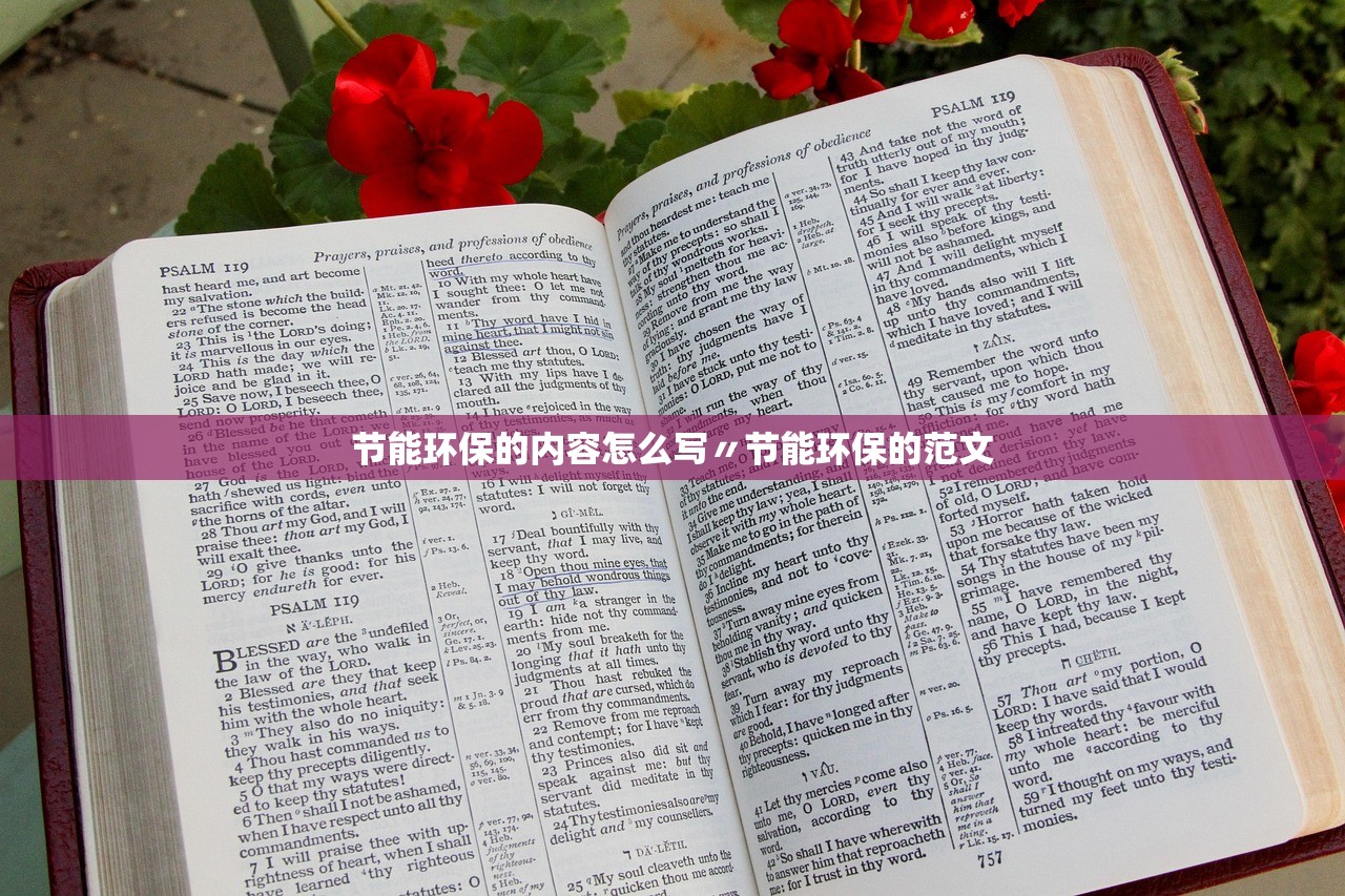节能环保的内容怎么写〃节能环保的范文 节能环保的内容怎么写〃节能环保的范文