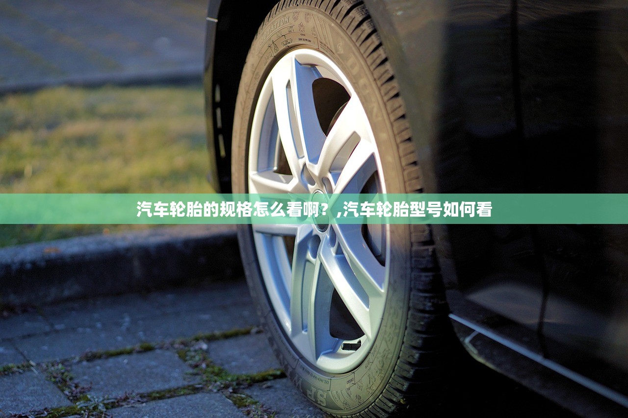 汽车轮胎的规格怎么看啊？,汽车轮胎型号如何看