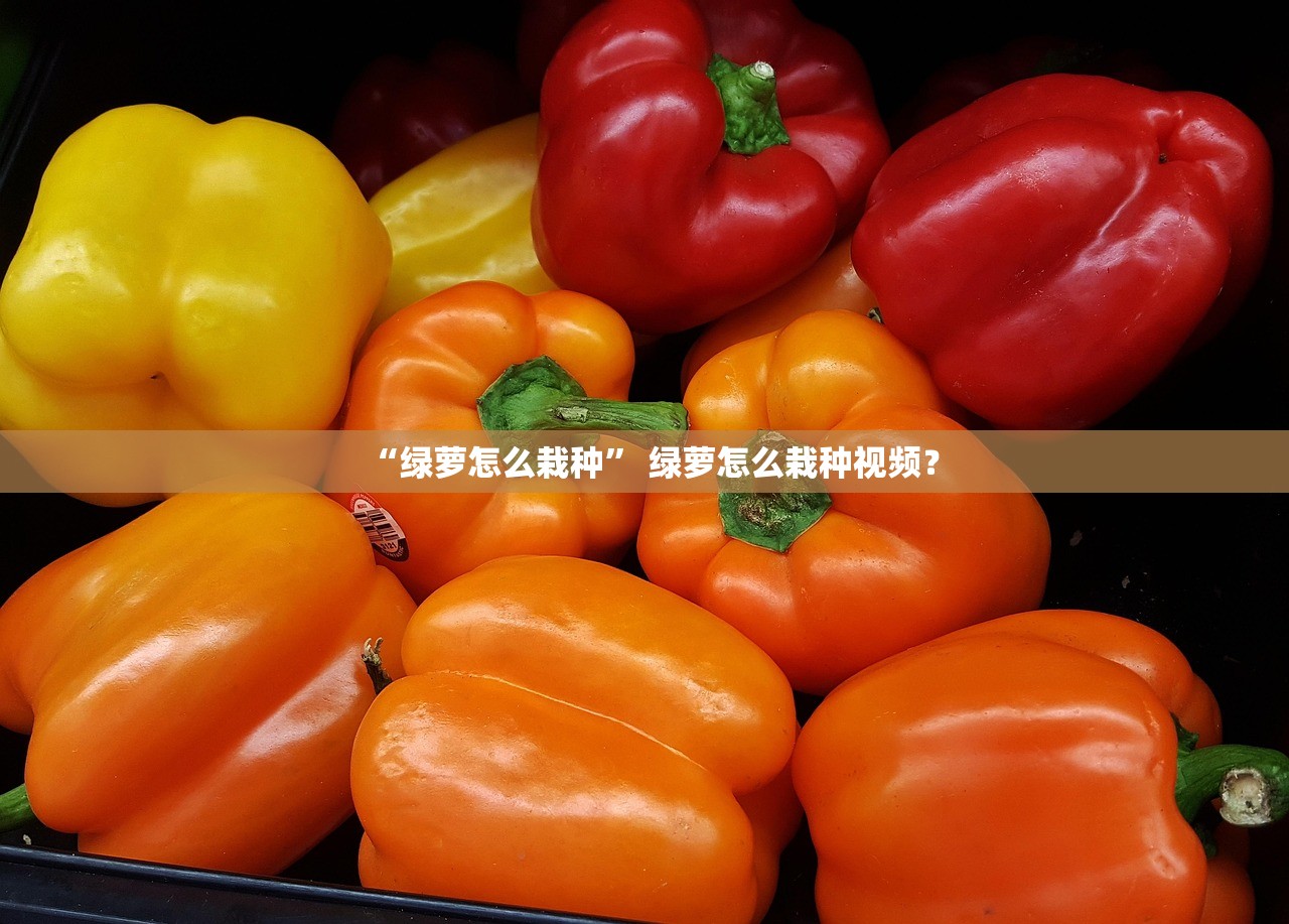 “绿萝怎么栽种” 绿萝怎么栽种视频？