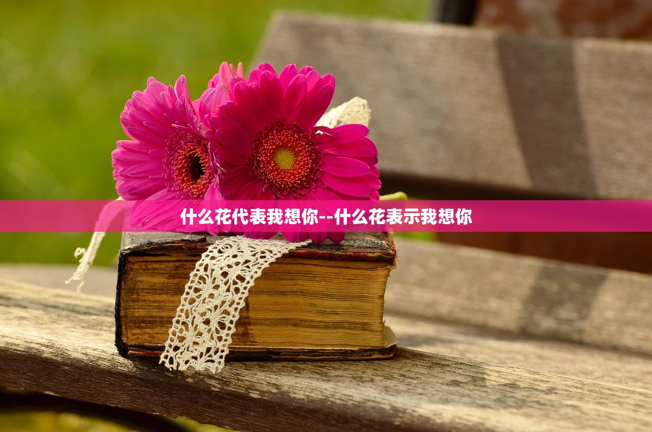 什么花代表我想你--什么花表示我想你