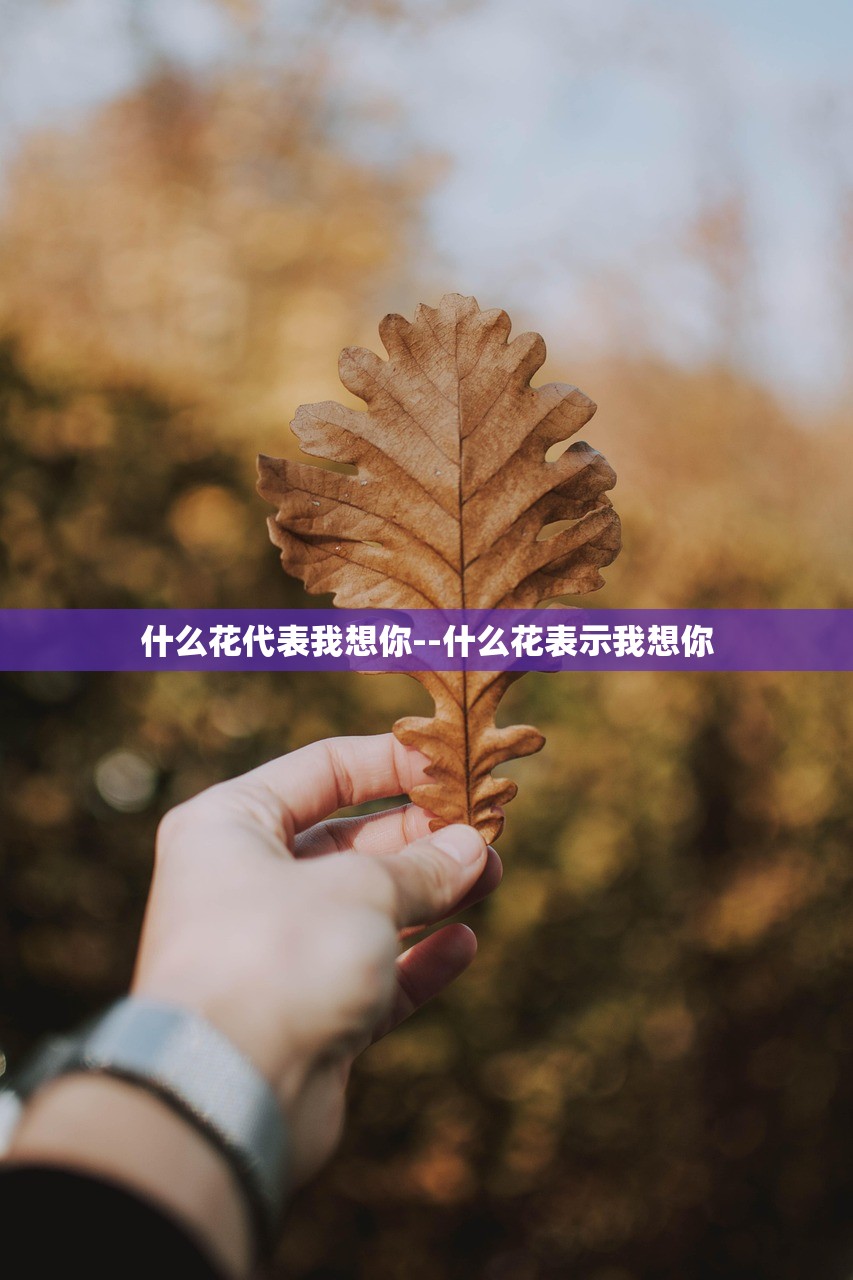什么花代表我想你--什么花表示我想你
