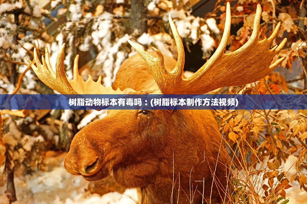 树脂动物标本有毒吗︰(树脂标本制作方法视频) 树脂动物标本有毒吗︰(树脂标本制作方法视频)
