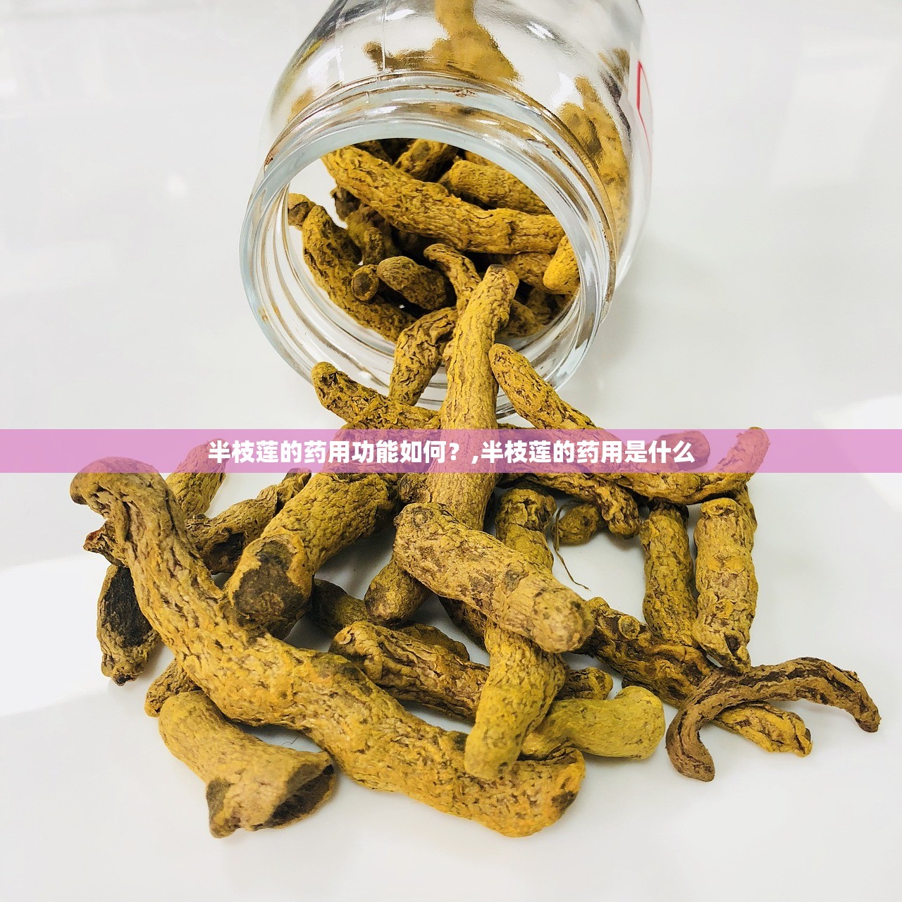 半枝莲的药用功能如何?,半枝莲的药用是什么 半枝莲的药用功能如何?,半枝莲的药用是什么
