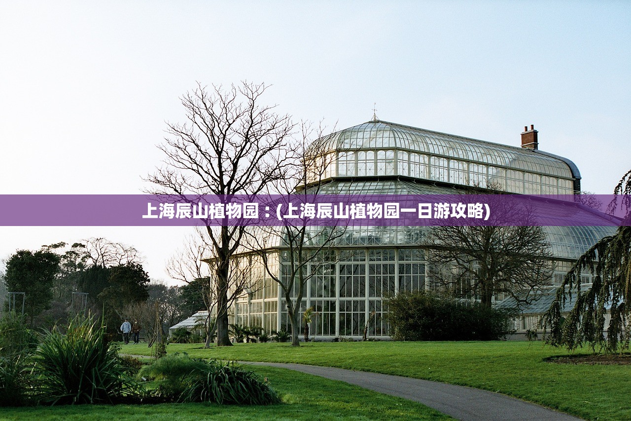 上海辰山植物园︰(上海辰山植物园一日游攻略)