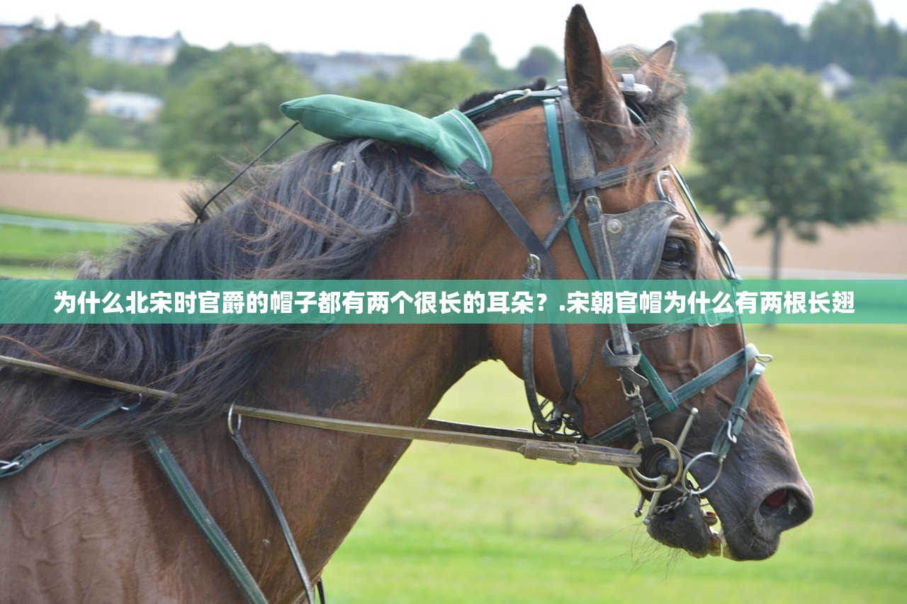 为什么北宋时官爵的帽子都有两个很长的耳朵？.宋朝官帽为什么有两根长翅
