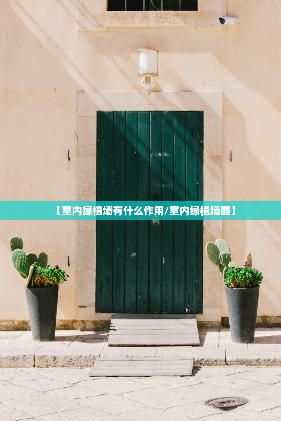 【室内绿植墙有什么作用/室内绿植墙面】