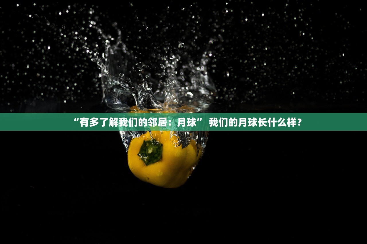 “有多了解我们的邻居：月球	” 我们的月球长什么样？