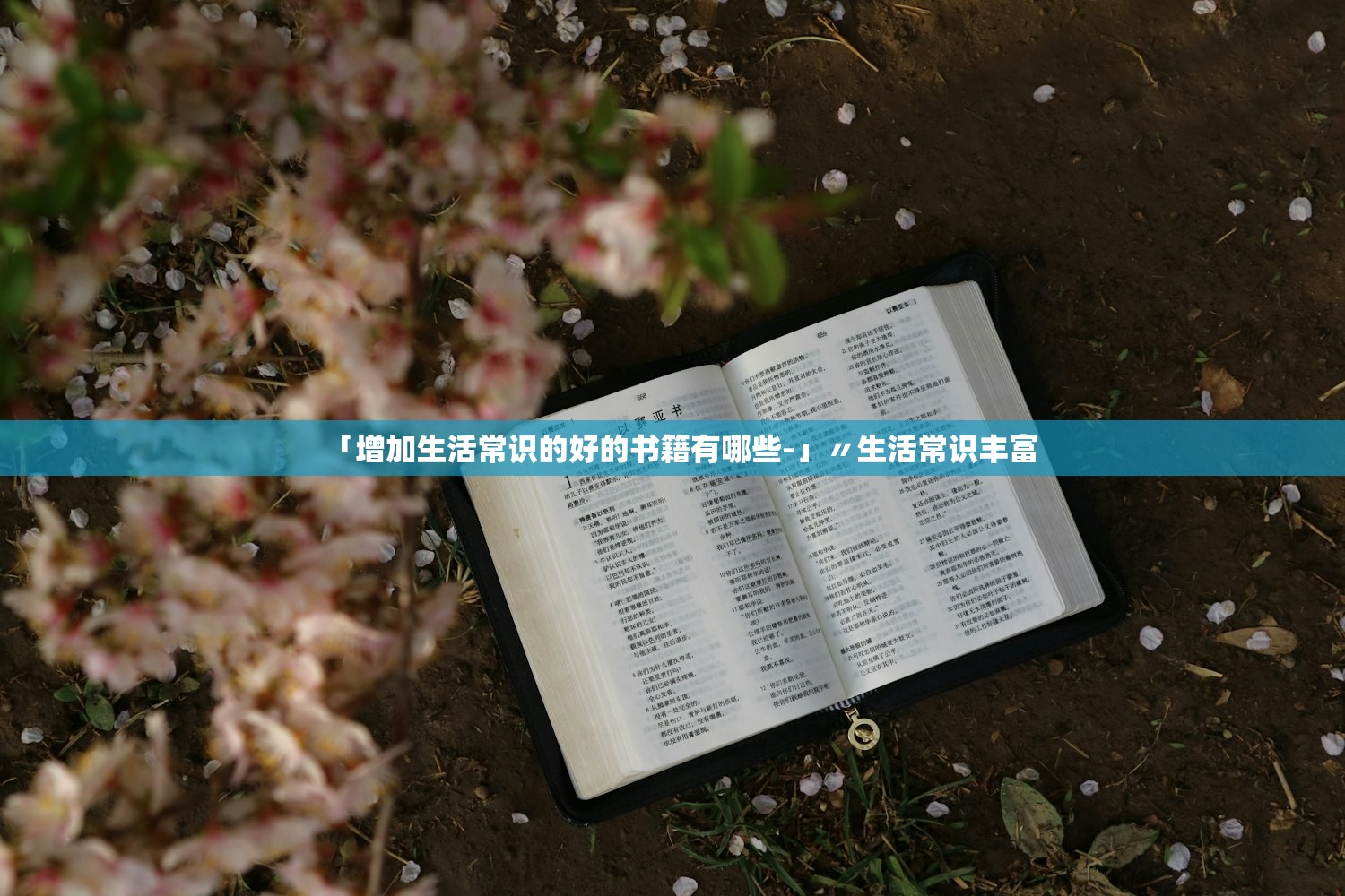 「增加生活常识的好的书籍有哪些-」〃生活常识丰富