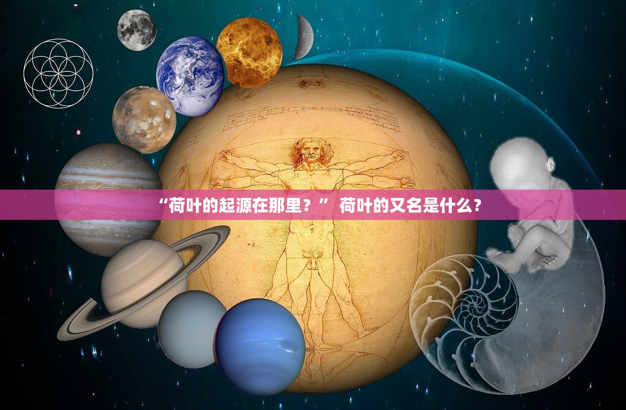 “荷叶的起源在那里？” 荷叶的又名是什么？