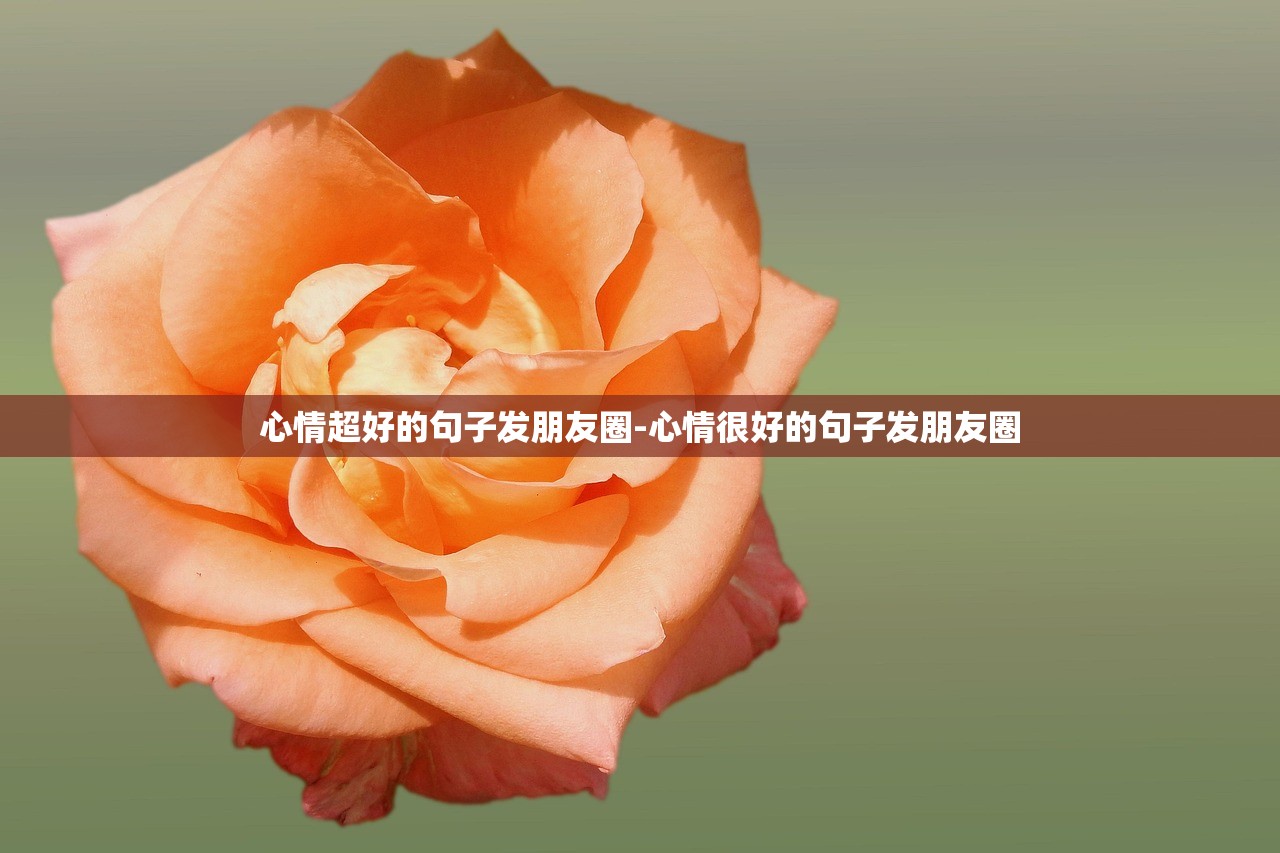 心情超好的句子发朋友圈-心情很好的句子发朋友圈