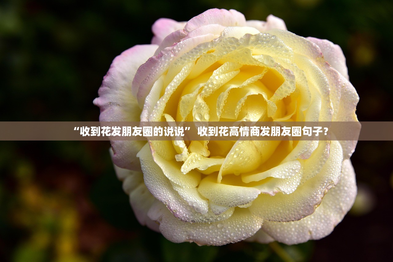 “收到花发朋友圈的说说” 收到花高情商发朋友圈句子？