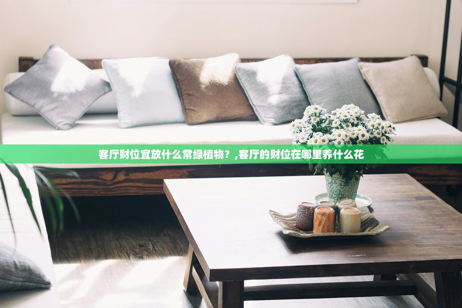 客厅财位宜放什么常绿植物？,客厅的财位在哪里养什么花