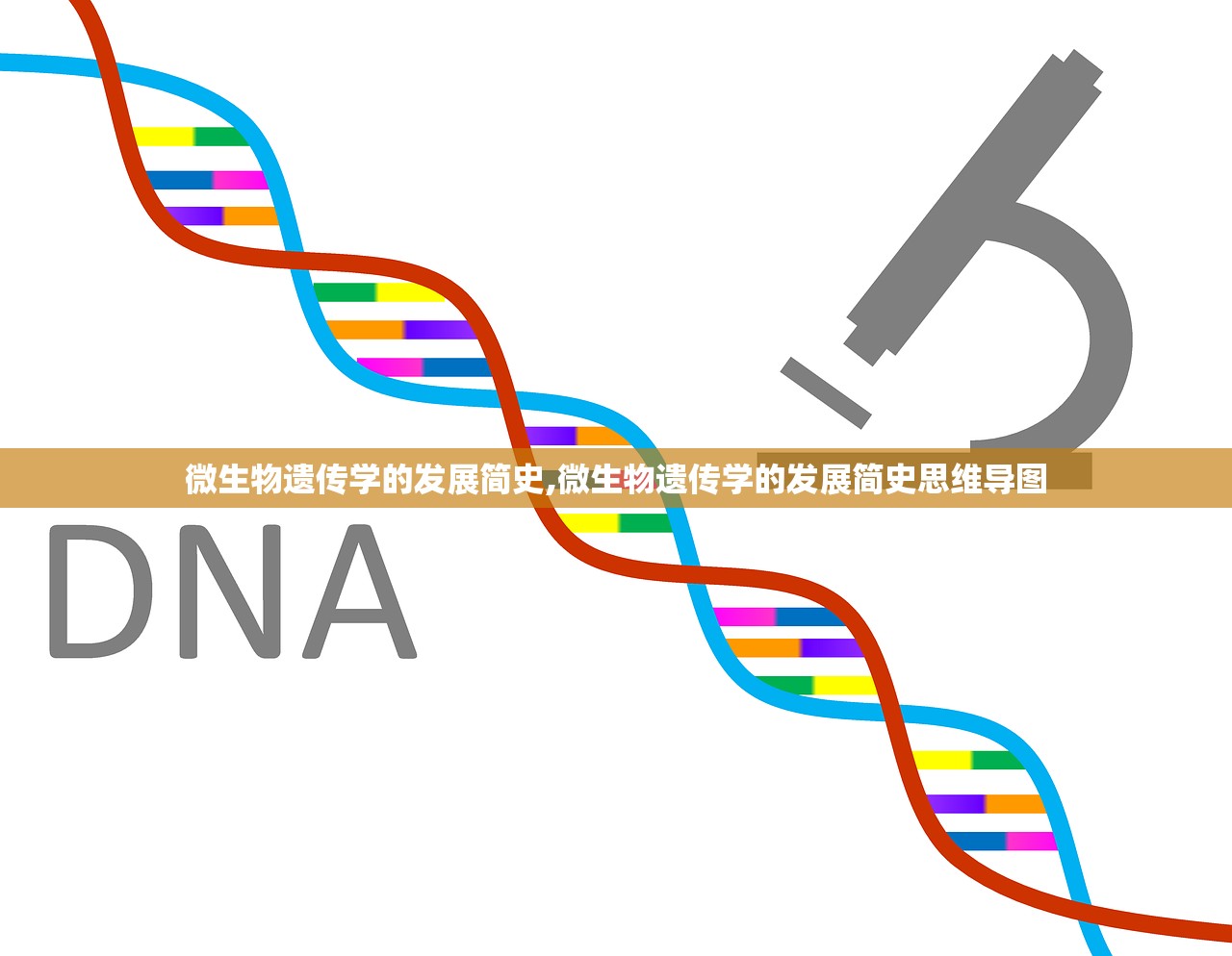 微生物遗传学的发展简史,微生物遗传学的发展简史思维导图