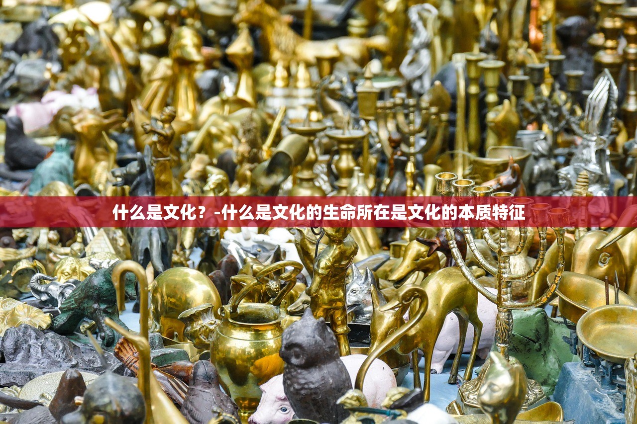 什么是文化？-什么是文化的生命所在是文化的本质特征