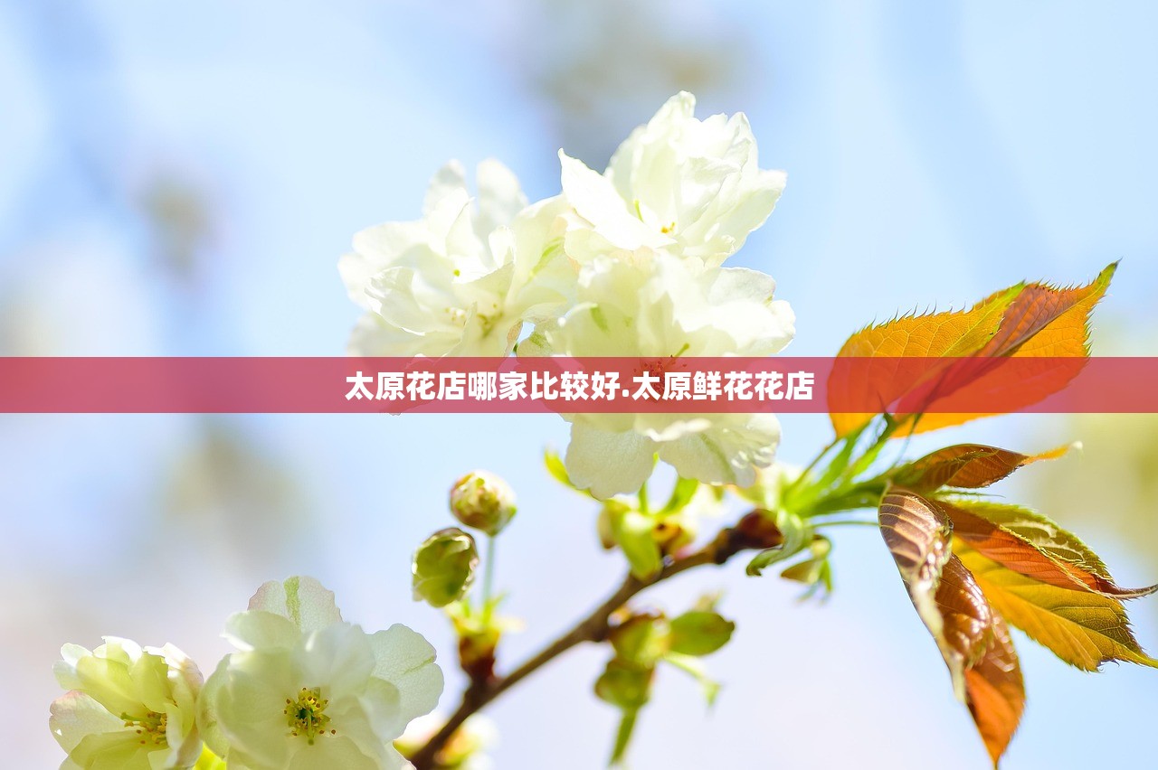 太原花店哪家比较好.太原鲜花花店