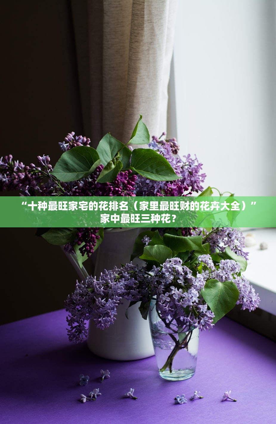 “十种最旺家宅的花排名（家里最旺财的花卉大全）	” 家中最旺三种花？