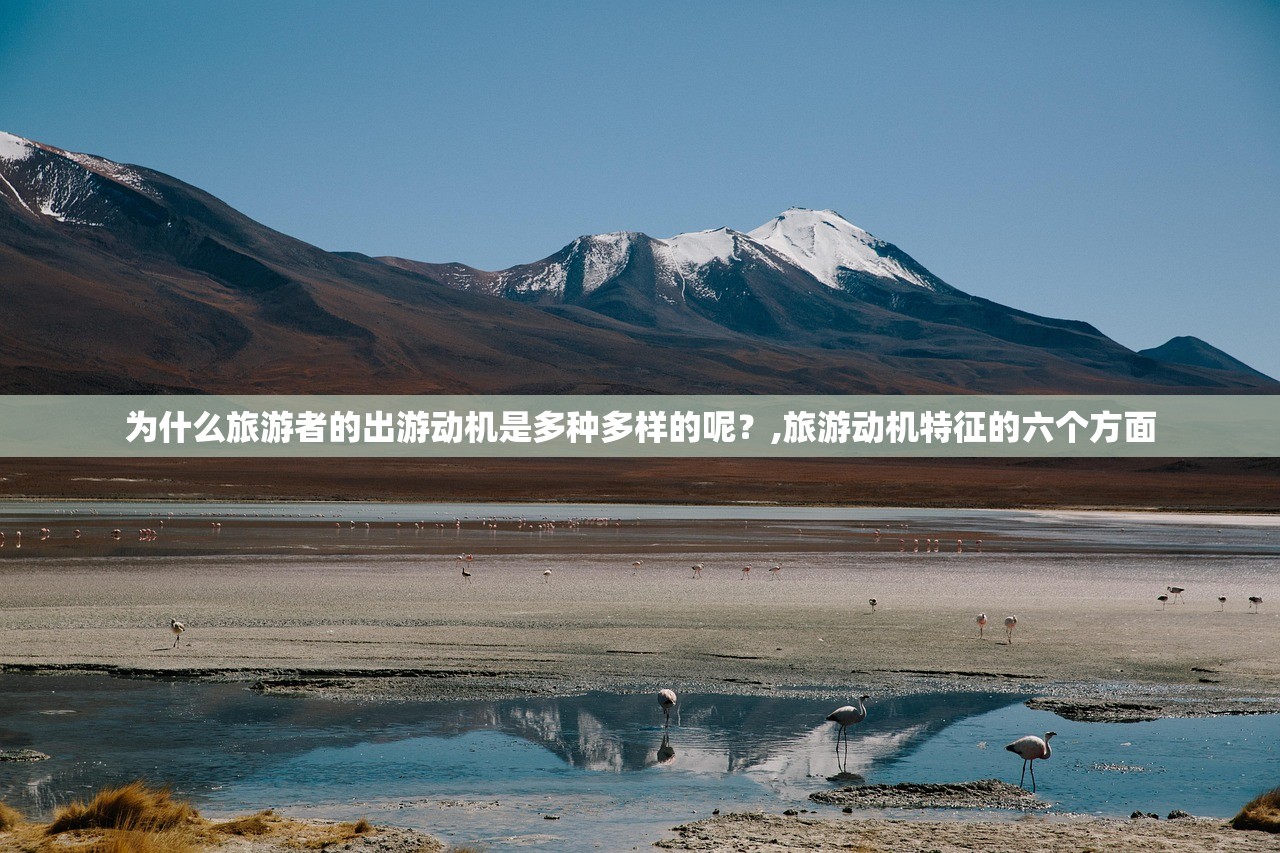 为什么旅游者的出游动机是多种多样的呢？,旅游动机特征的六个方面