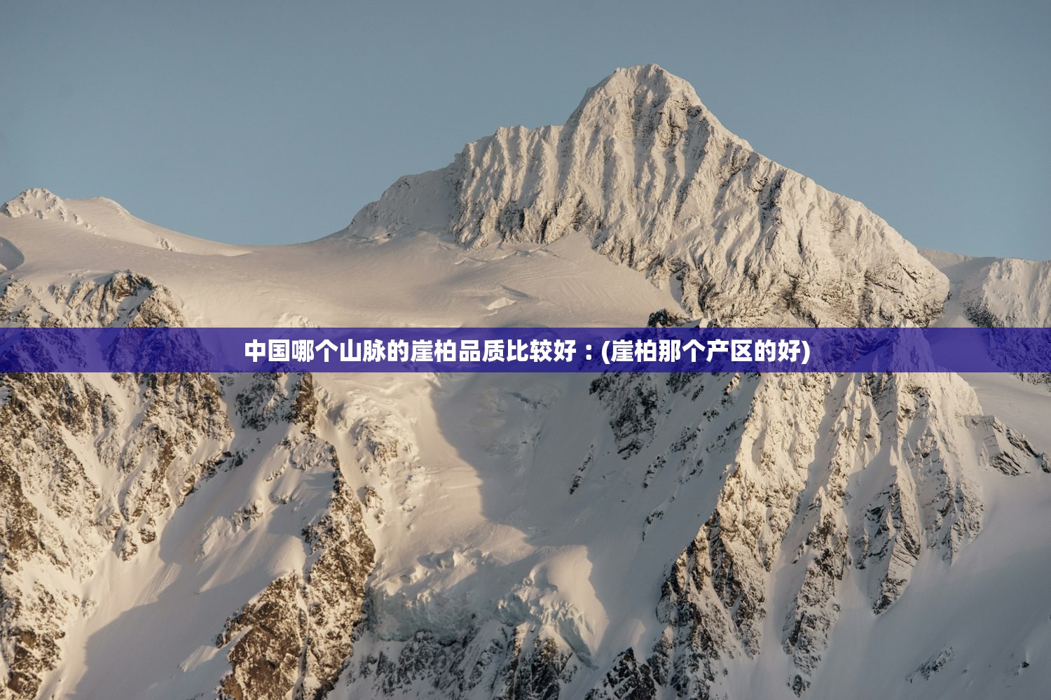 中国哪个山脉的崖柏品质比较好︰(崖柏那个产区的好)