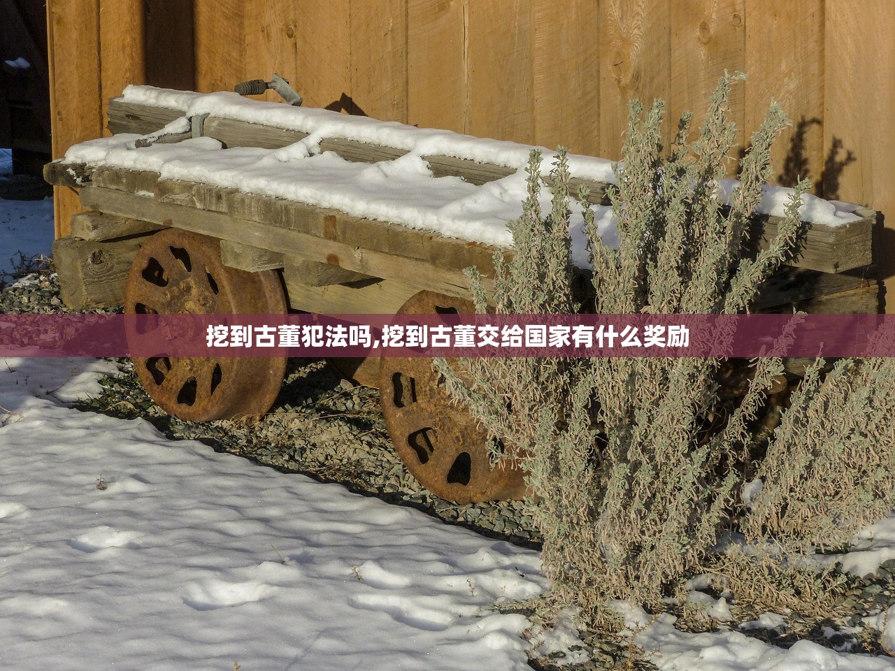 挖到古董犯法吗,挖到古董交给国家有什么奖励